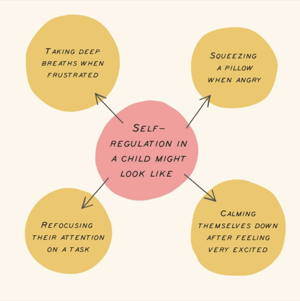 Self-Regulation in a Child Might Look Like Image